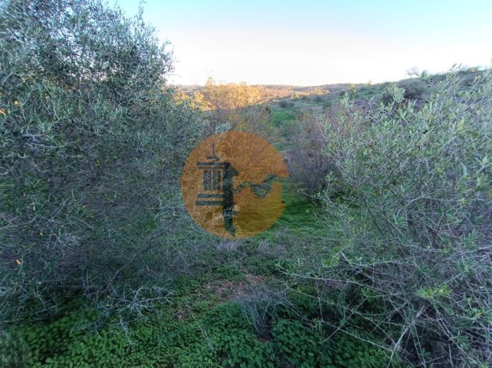 Image No.64-Plot for sale