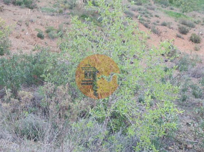 Image No.67-Plot for sale