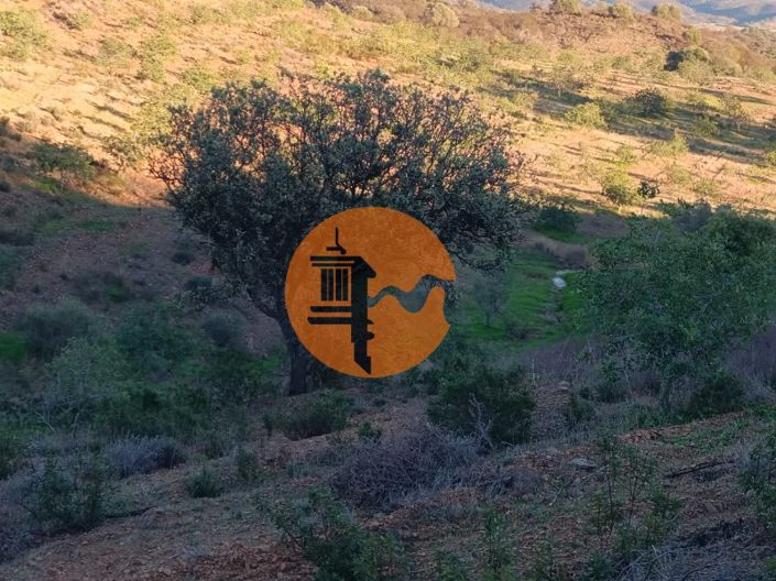 Image No.68-Plot for sale