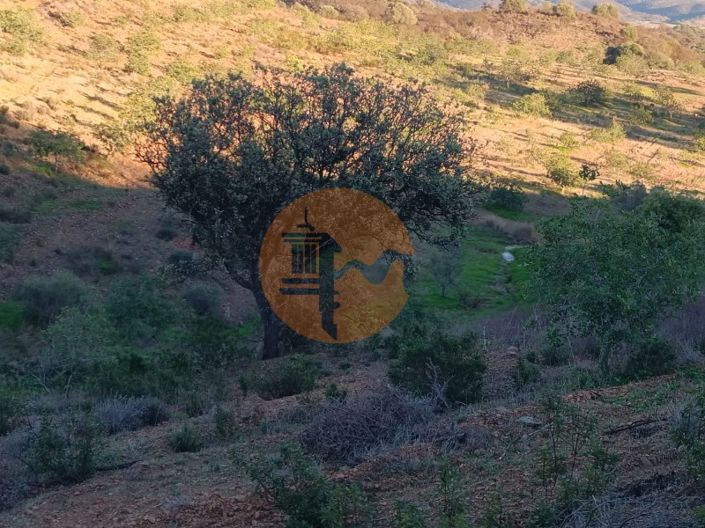 Image No.68-Plot for sale