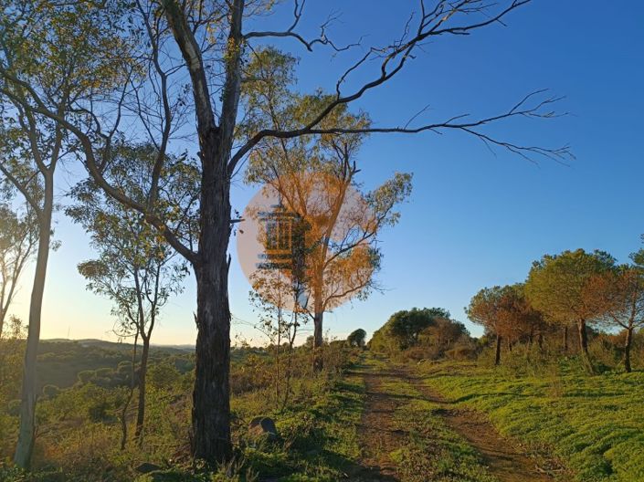 Image No.7-Plot for sale