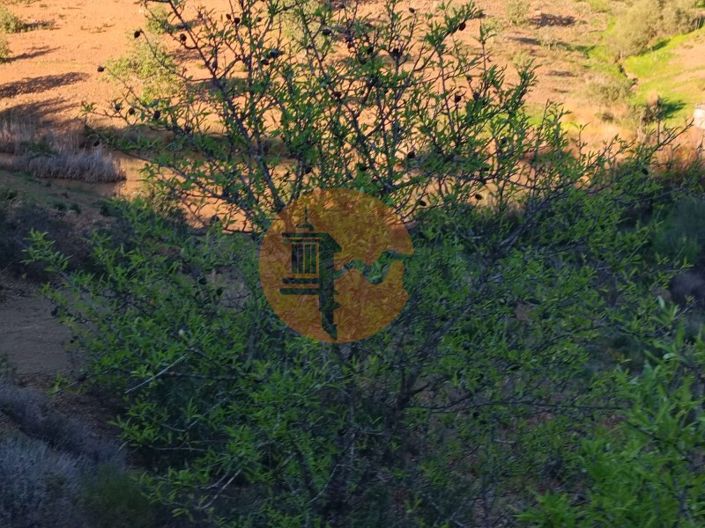 Image No.70-Plot for sale