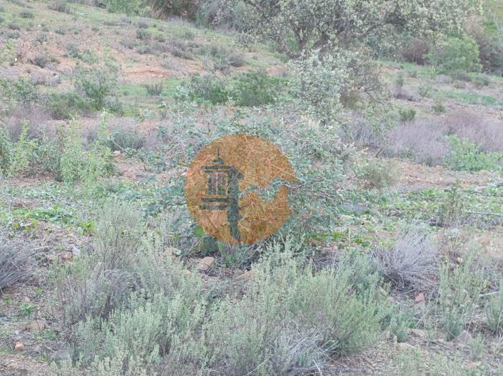 Image No.71-Plot for sale