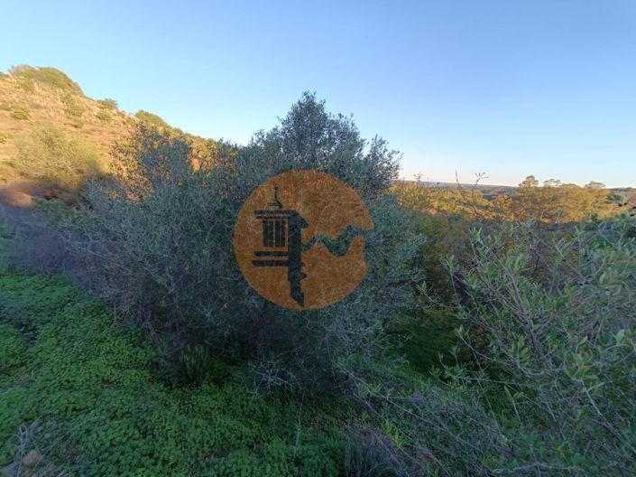 Image No.73-Plot for sale