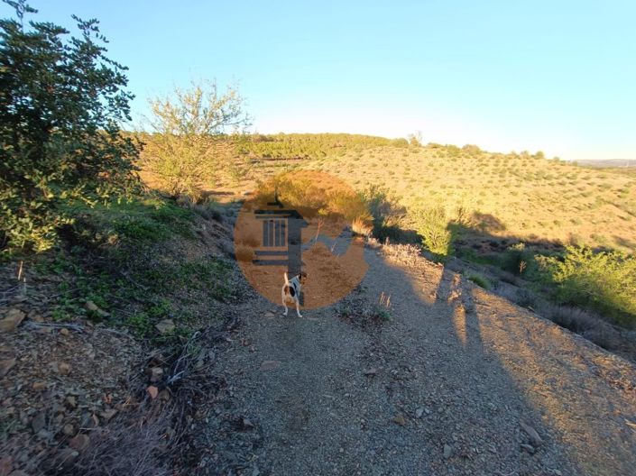 Image No.74-Plot for sale