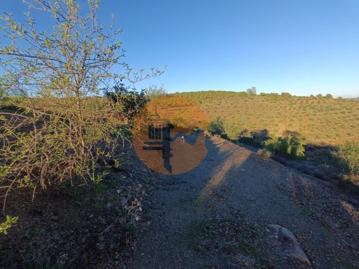 Image No.75-Plot for sale