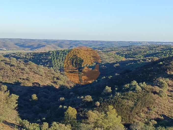 Image No.77-Plot for sale