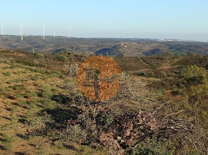 Image No.79-Plot for sale