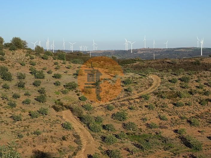 Image No.80-Plot for sale