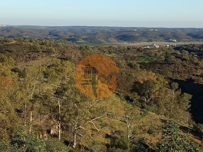 Image No.81-Plot for sale