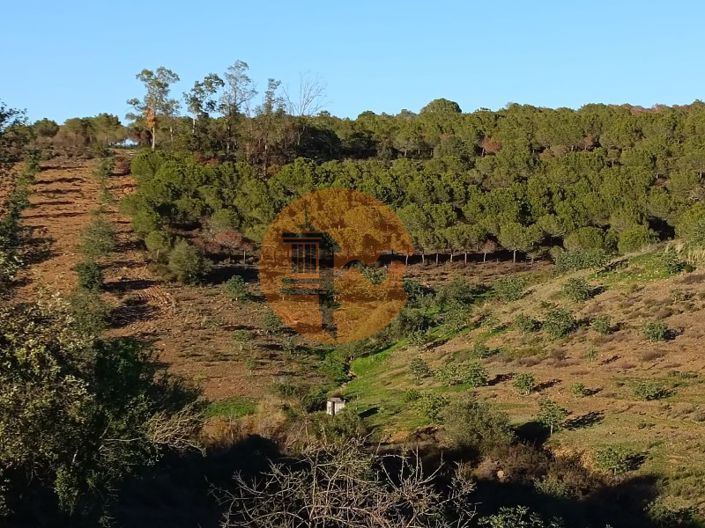 Image No.82-Plot for sale