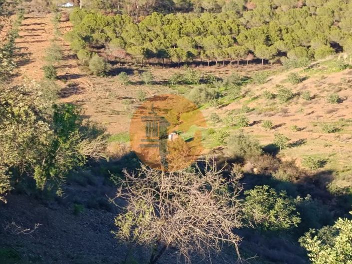 Image No.83-Plot for sale