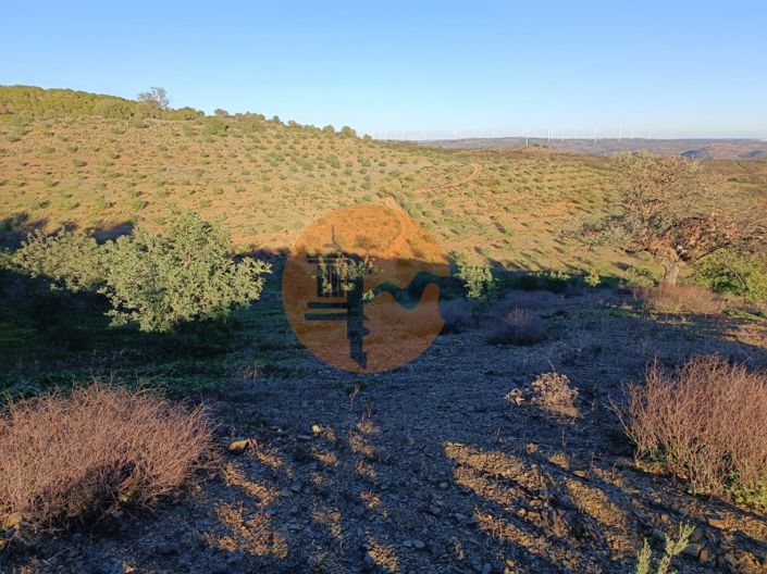 Image No.85-Plot for sale