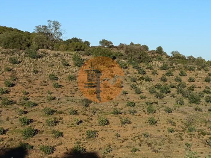 Image No.86-Plot for sale