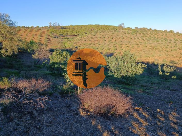 Image No.87-Plot for sale