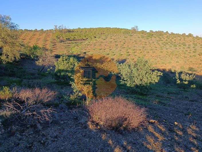 Image No.87-Plot for sale