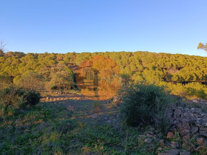 Image No.9-Terrain à vendre à Castro Marim