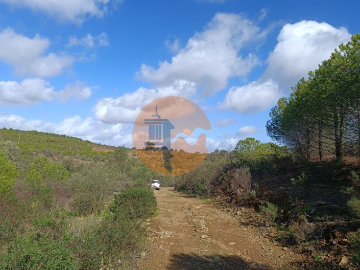 Image No.10-Terrain à vendre à Alcoutim