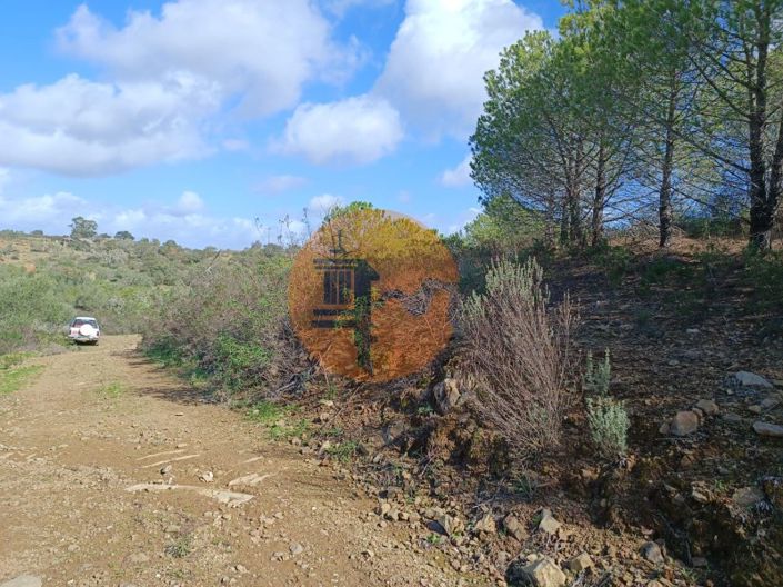 Image No.11-Plot for sale