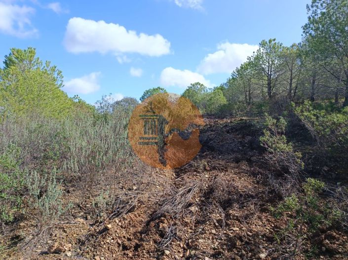 Image No.12-Terrain à vendre à Alcoutim