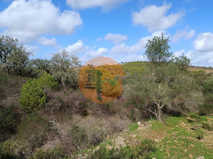 Image No.13-Terrain à vendre à Alcoutim