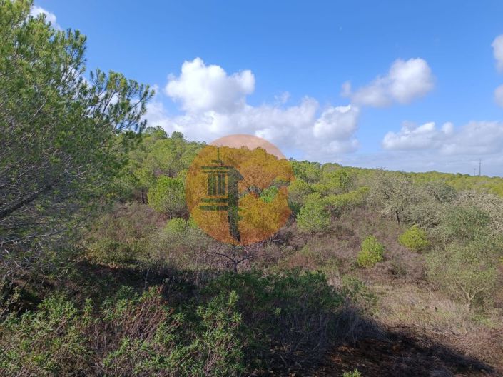 Image No.15-Plot for sale