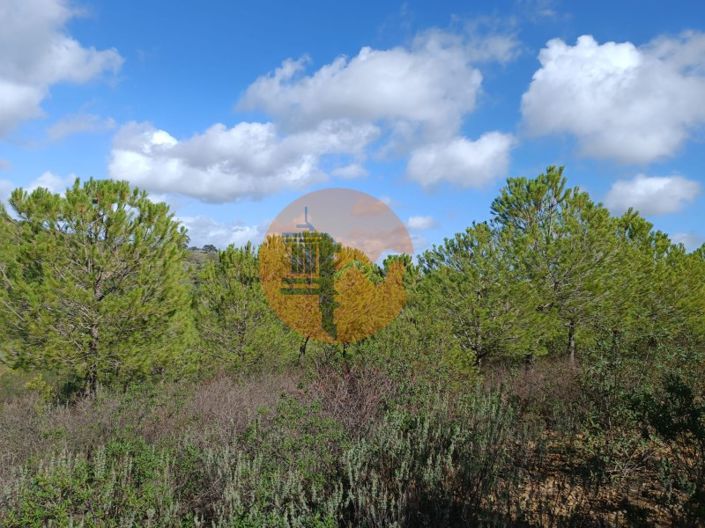 Image No.19-Plot for sale