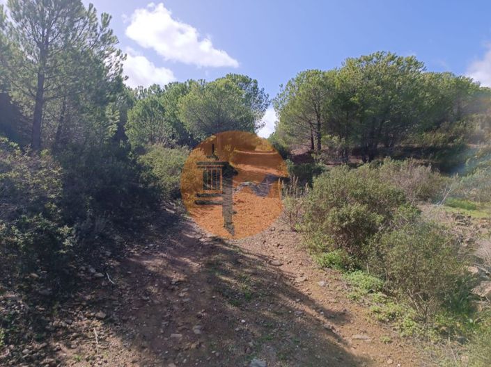 Image No.2-Plot for sale