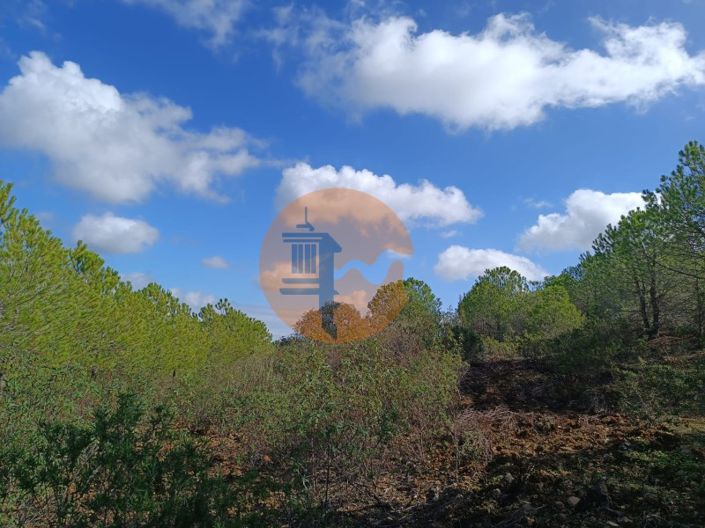 Image No.20-Plot for sale