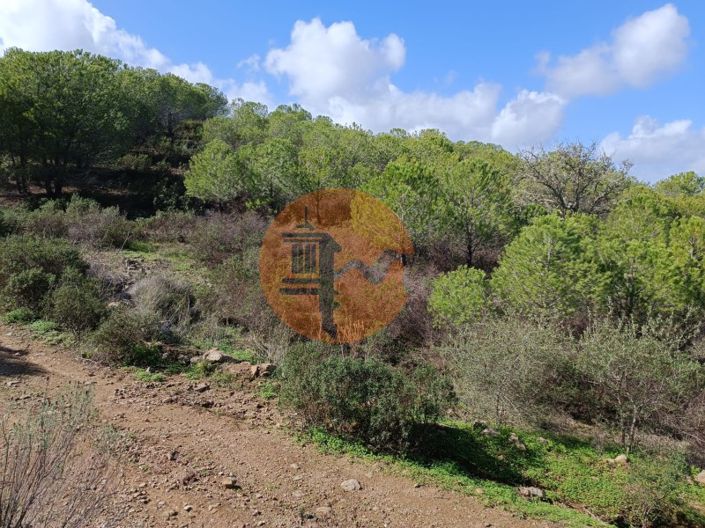 Image No.21-Plot for sale