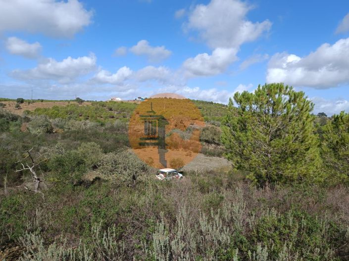 Image No.22-Terrain à vendre à Alcoutim