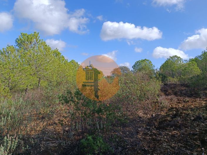 Image No.4-Plot for sale