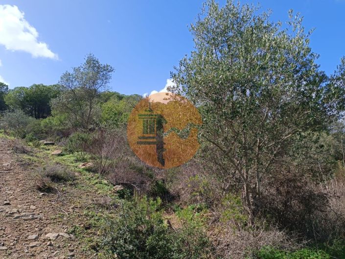 Image No.5-Plot for sale