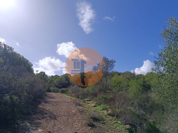 Image No.6-Plot for sale