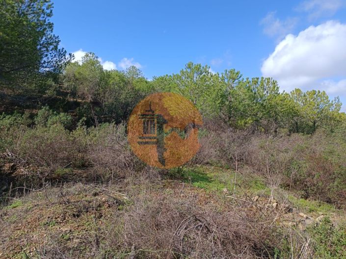 Image No.7-Plot for sale