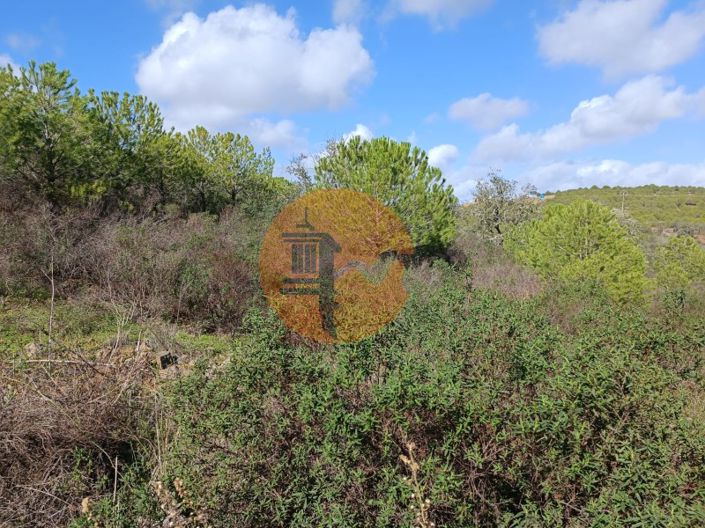 Image No.9-Plot for sale