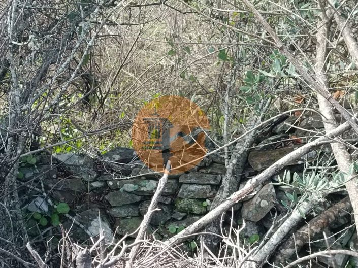 Image No.10-Terrain à vendre à Alcoutim