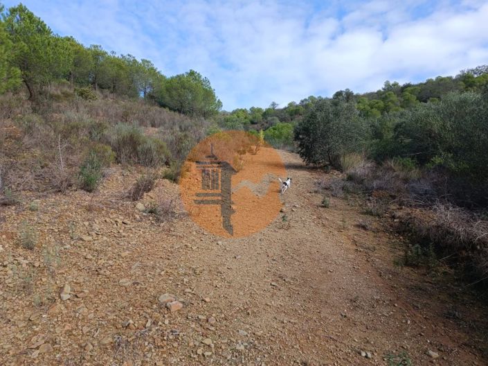 Image No.12-Terrain à vendre à Alcoutim