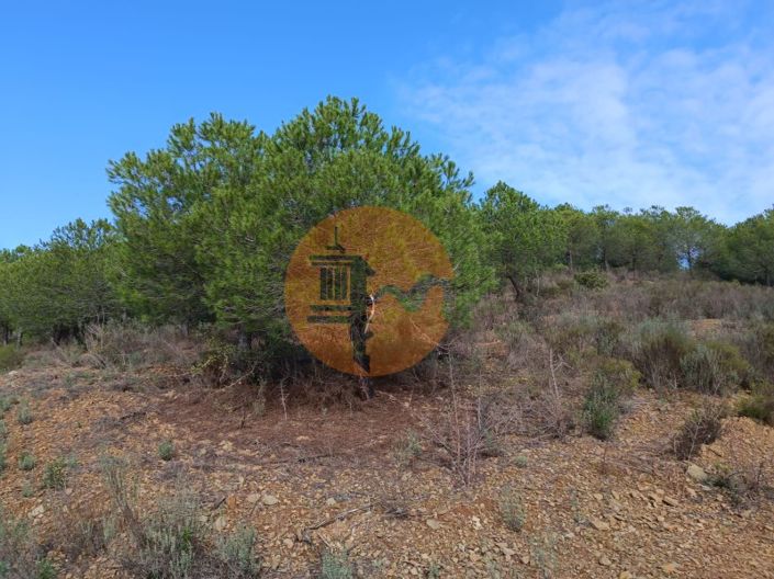 Image No.14-Plot for sale