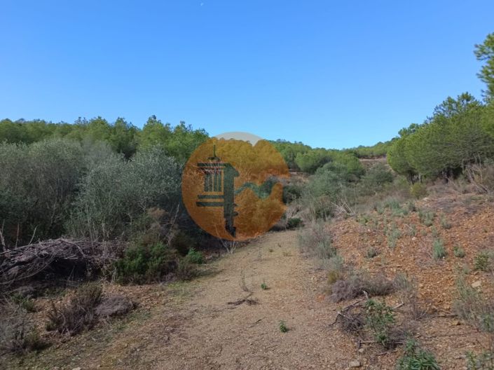 Image No.15-Terrain à vendre à Alcoutim