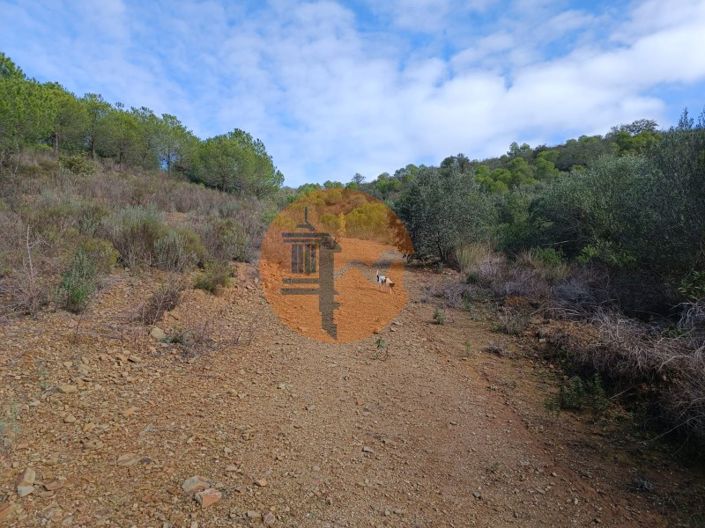 Image No.16-Plot for sale