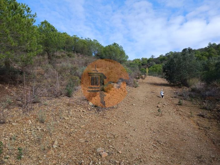 Image No.18-Plot for sale