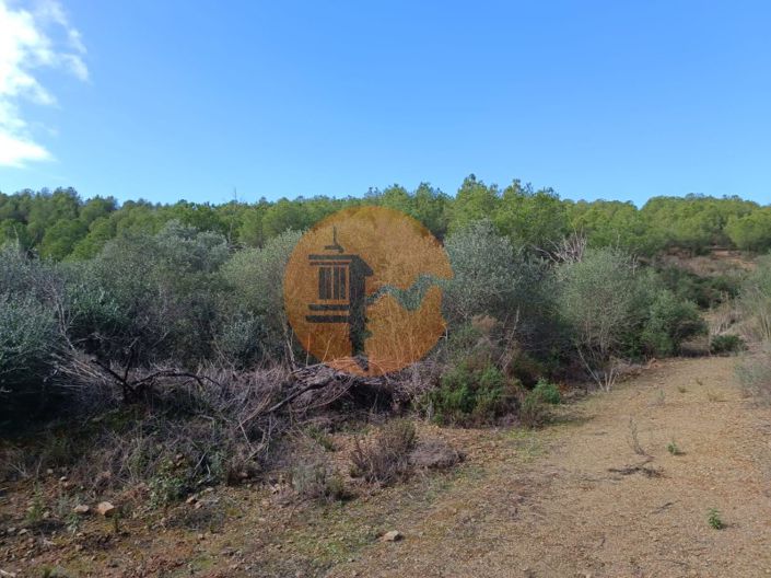 Image No.19-Plot for sale