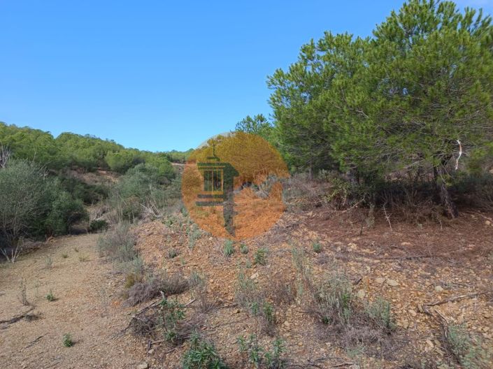 Image No.20-Plot for sale