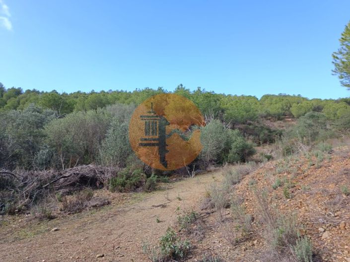 Image No.21-Plot for sale