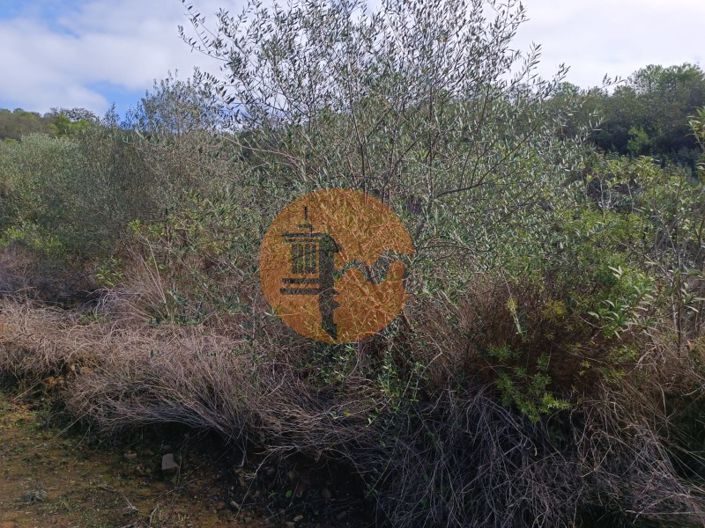 Image No.23-Plot for sale