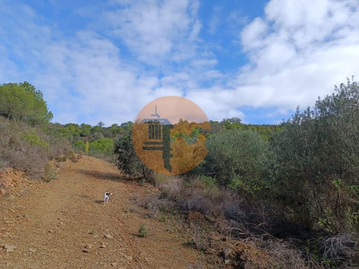 Image No.24-Terrain à vendre à Alcoutim