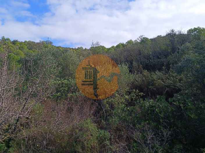 Image No.25-Plot for sale