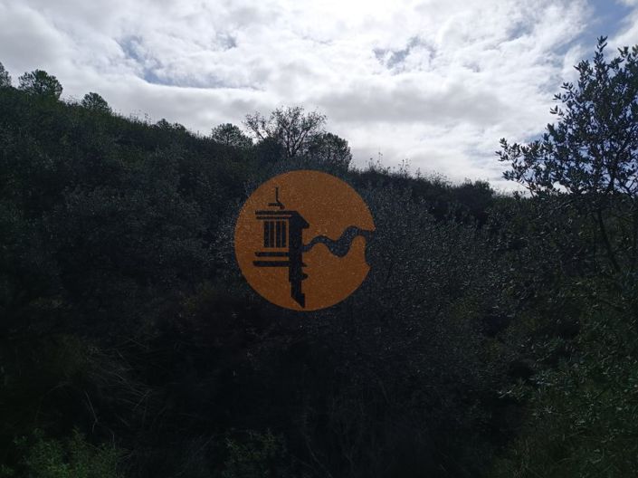 Image No.27-Terrain à vendre à Alcoutim