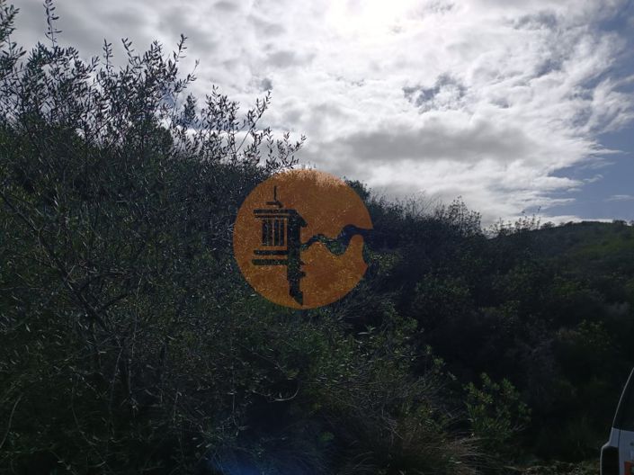 Image No.28-Plot for sale